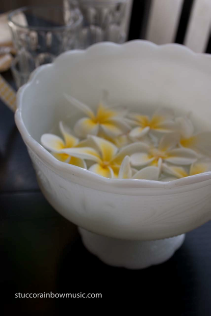 CRW 0155-adjusted bowl of plumeria
